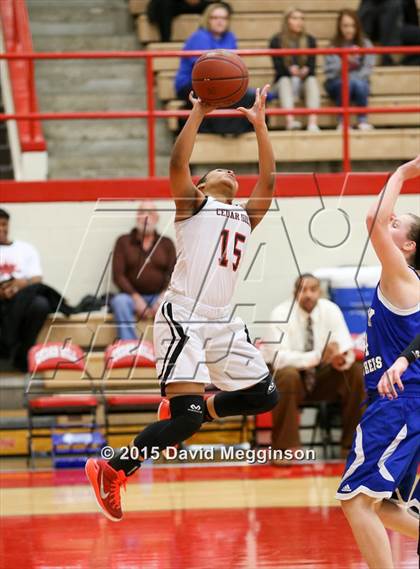 Thumbnail 2 in Midlothian @ Cedar Hill photogallery.