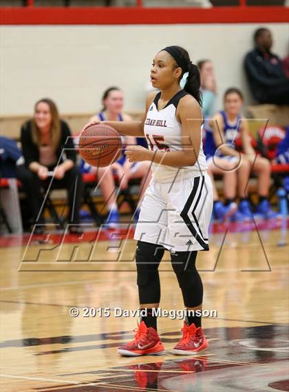 Thumbnail 2 in Midlothian @ Cedar Hill photogallery.