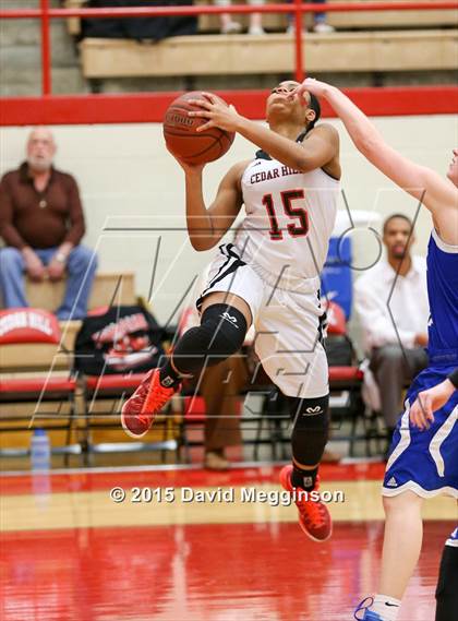 Thumbnail 3 in Midlothian @ Cedar Hill photogallery.