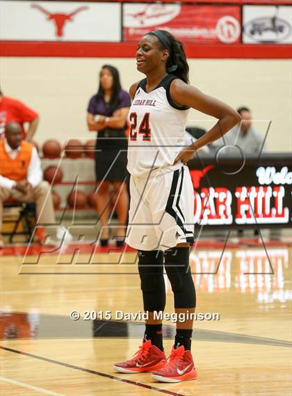 Thumbnail 3 in Midlothian @ Cedar Hill photogallery.