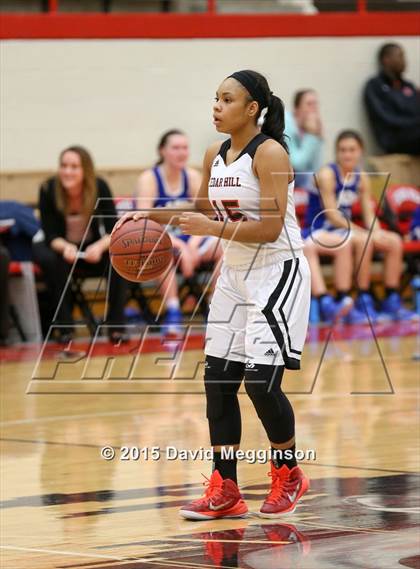 Thumbnail 3 in Midlothian @ Cedar Hill photogallery.