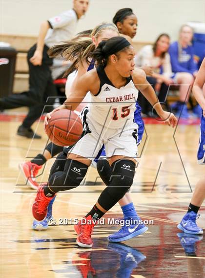 Thumbnail 3 in Midlothian @ Cedar Hill photogallery.