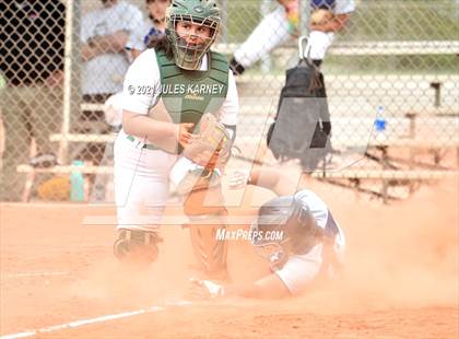 Thumbnail 1 in Palo Verde vs Shadow Ridge photogallery.