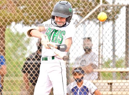 Thumbnail 3 in Palo Verde vs Shadow Ridge photogallery.