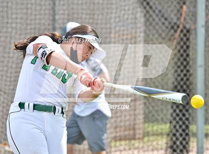 Thumbnail 3 in Palo Verde vs Shadow Ridge photogallery.