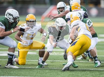 Thumbnail 3 in Trenton @ Allen Park photogallery.