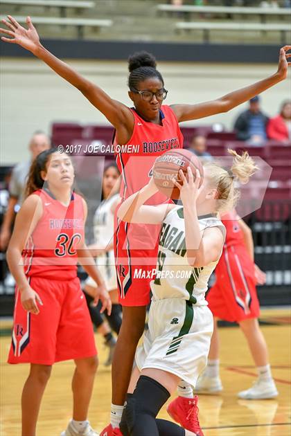 Thumbnail 1 in Reagan [Ronald] vs Roosevelt [Theodore] photogallery.