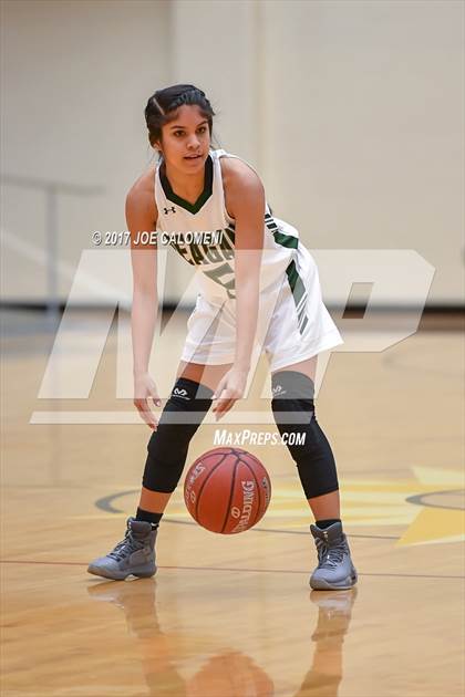 Thumbnail 2 in Reagan [Ronald] vs Roosevelt [Theodore] photogallery.