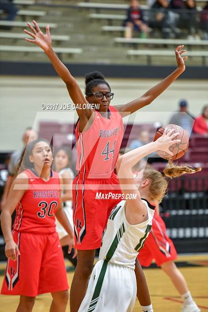 Thumbnail 2 in Reagan [Ronald] vs Roosevelt [Theodore] photogallery.