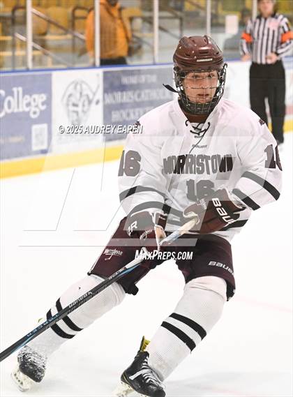 Thumbnail 3 in Morristown @ Morris Knolls photogallery.
