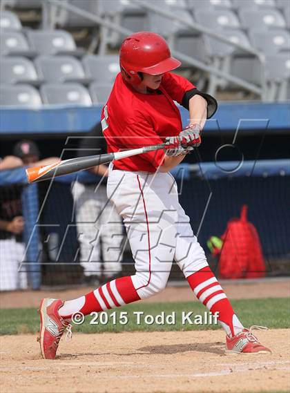 Thumbnail 3 in St. Bernard @ Tourtellotte Memorial photogallery.