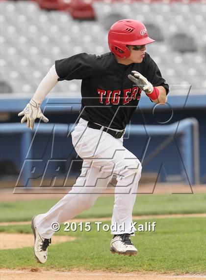 Thumbnail 2 in St. Bernard @ Tourtellotte Memorial photogallery.