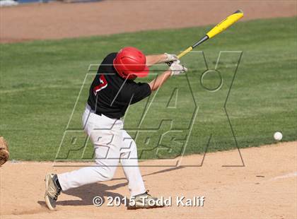Thumbnail 3 in St. Bernard @ Tourtellotte Memorial photogallery.