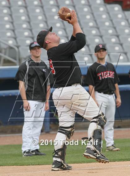 Thumbnail 1 in St. Bernard @ Tourtellotte Memorial photogallery.
