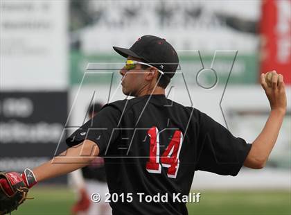 Thumbnail 2 in St. Bernard @ Tourtellotte Memorial photogallery.