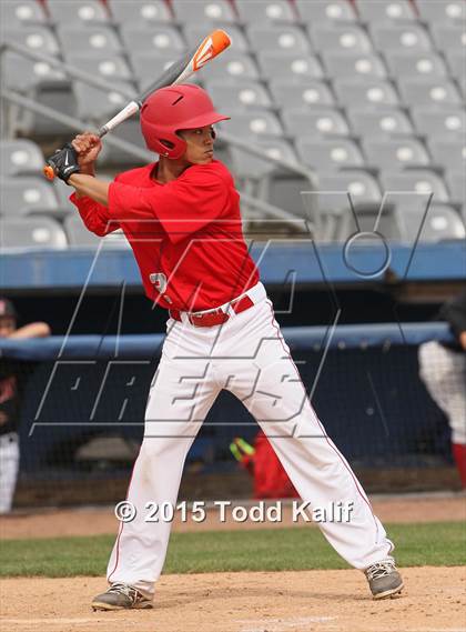 Thumbnail 2 in St. Bernard @ Tourtellotte Memorial photogallery.
