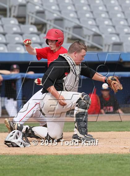 Thumbnail 1 in St. Bernard @ Tourtellotte Memorial photogallery.