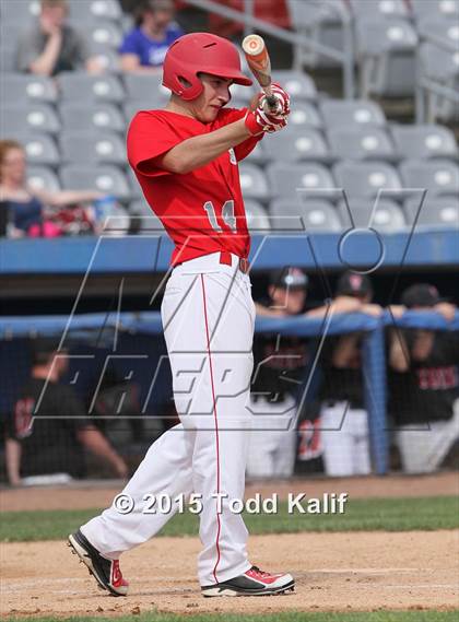 Thumbnail 1 in St. Bernard @ Tourtellotte Memorial photogallery.