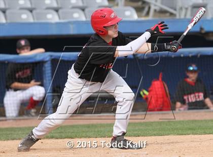 Thumbnail 3 in St. Bernard @ Tourtellotte Memorial photogallery.