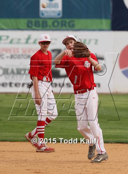 Thumbnail 3 in St. Bernard @ Tourtellotte Memorial photogallery.
