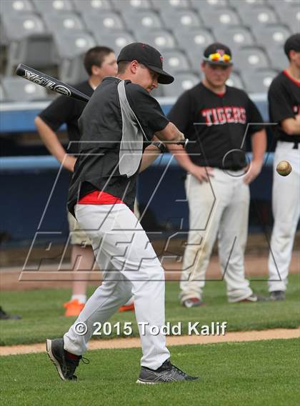 Thumbnail 3 in St. Bernard @ Tourtellotte Memorial photogallery.