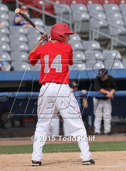Thumbnail 2 in St. Bernard @ Tourtellotte Memorial photogallery.