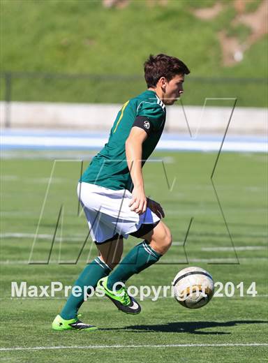 null - Photo 01