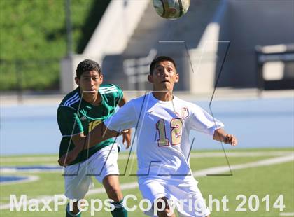 Thumbnail 2 in Fallbrook vs. Patrick Henry (CIF SDS D3 Final) photogallery.