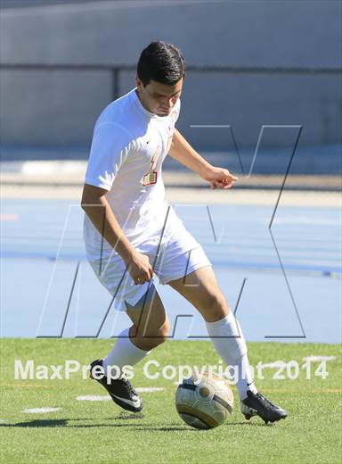 null - Photo 31