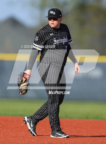 Thumbnail 3 in Springdale @ Bentonville West photogallery.