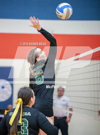 Thumbnail 1 in Coloma vs. Kalamazoo Christian (SAC Tournament) photogallery.