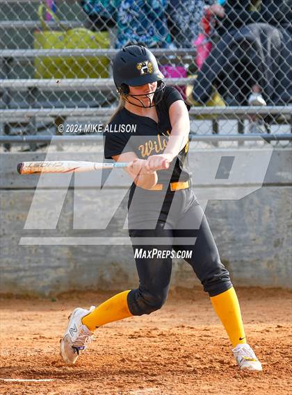 Thumbnail 1 in Hixson vs Lincoln photogallery.