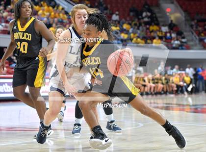 Thumbnail 1 in Pamlico County vs. Mount Airy (NCHSAA 1A Final) photogallery.