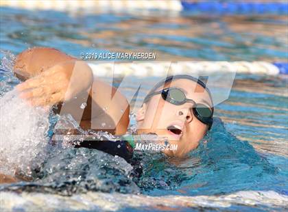 Thumbnail 2 in Weeki Wachee vs Springstead, Central photogallery.