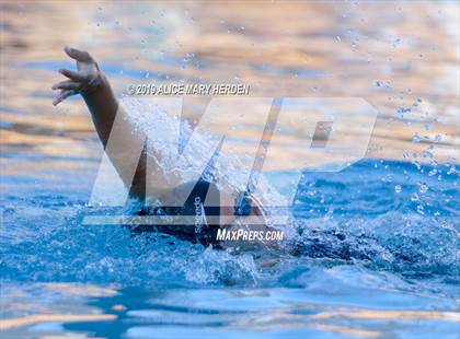 Thumbnail 3 in Weeki Wachee vs Springstead, Central photogallery.