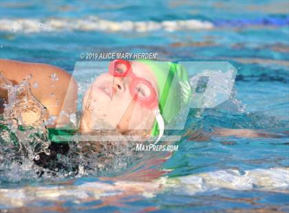 Thumbnail 2 in Weeki Wachee vs Springstead, Central photogallery.