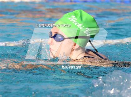 Thumbnail 1 in Weeki Wachee vs Springstead, Central photogallery.
