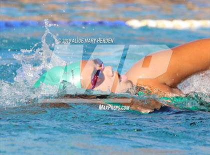 Thumbnail 2 in Weeki Wachee vs Springstead, Central photogallery.