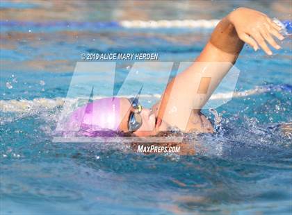 Thumbnail 1 in Weeki Wachee vs Springstead, Central photogallery.