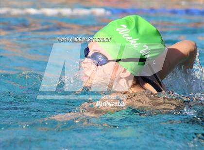 Thumbnail 3 in Weeki Wachee vs Springstead, Central photogallery.