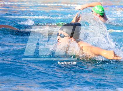 Thumbnail 1 in Weeki Wachee vs Springstead, Central photogallery.