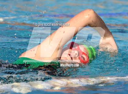 Thumbnail 2 in Weeki Wachee vs Springstead, Central photogallery.