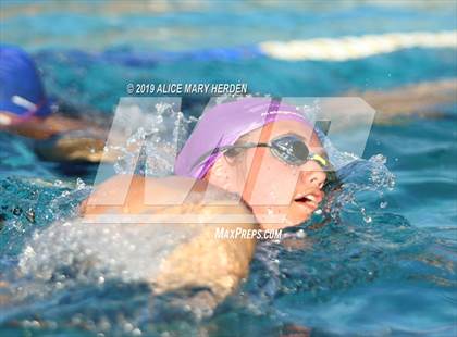 Thumbnail 2 in Weeki Wachee vs Springstead, Central photogallery.