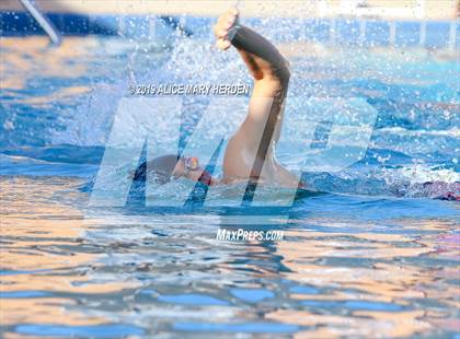 Thumbnail 3 in Weeki Wachee vs Springstead, Central photogallery.