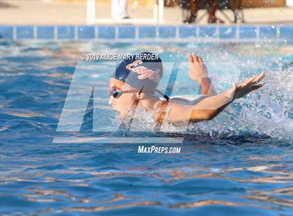 Thumbnail 1 in Weeki Wachee vs Springstead, Central photogallery.