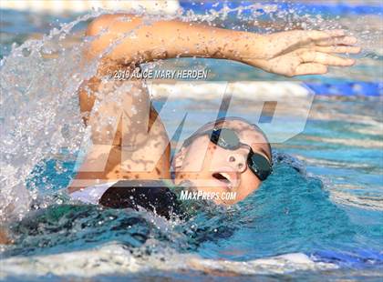 Thumbnail 3 in Weeki Wachee vs Springstead, Central photogallery.