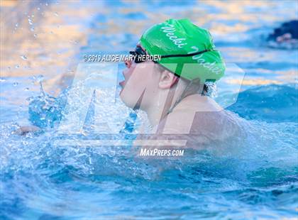 Thumbnail 3 in Weeki Wachee vs Springstead, Central photogallery.