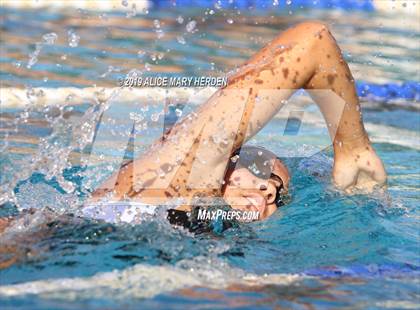 Thumbnail 1 in Weeki Wachee vs Springstead, Central photogallery.