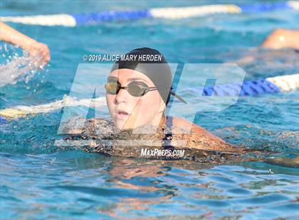 Thumbnail 1 in Weeki Wachee vs Springstead, Central photogallery.