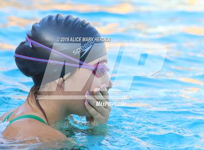 Thumbnail 1 in Weeki Wachee vs Springstead, Central photogallery.